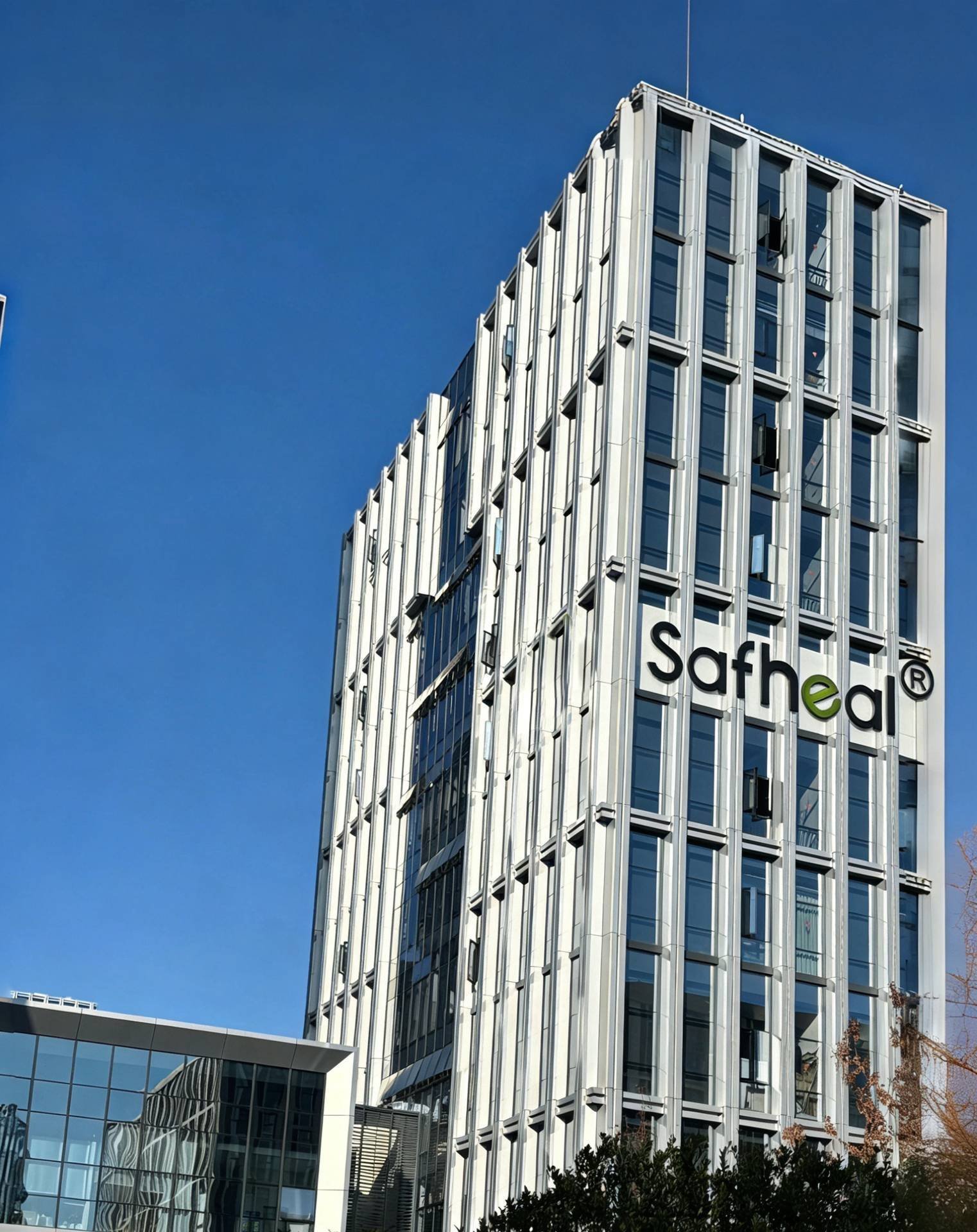 Safheal Hero Background